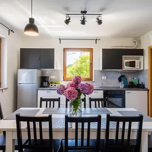 Downtown Helena Apartment